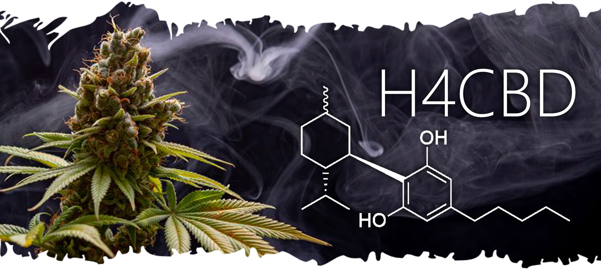 H4CBD